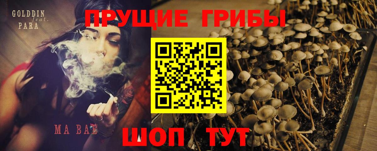 Галлюциногенные грибы MAGIC MUSHROOMS Самара